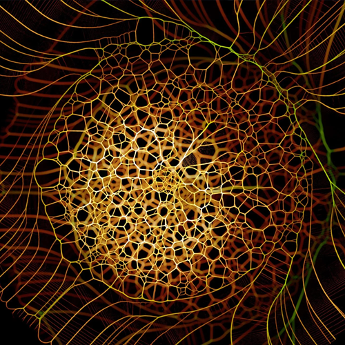 brownian motion